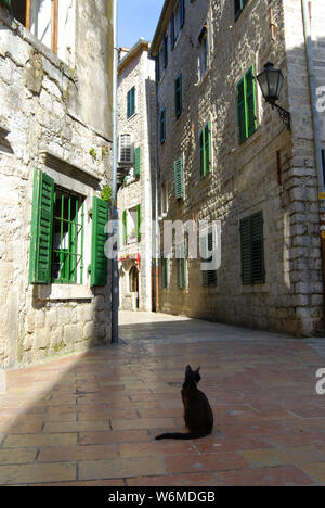 Gatto seduto su una vecchia città strada stretta Foto Stock