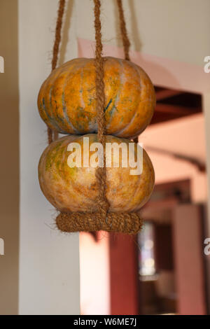 Zucche appese in una corda a Surajkund Mela Artigianato, Surajkund, Faridabad, Haryana, India Foto Stock