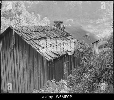 Due camera casa di Charlie Davis, sua moglie e i suoi due figli. Quando ha chiesto alla società di effettuare alcune riparazioni su questa casa gli era stato detto che la casa è abbastanza buono. Quando piove, essiccatore sotto gli alberi che è all'interno di questo luogo, egli ha detto. Coleman Fuel Company, Uccello Rosso miniera, campo, Bell County, Kentucky Foto Stock