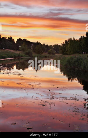 Fiume Nevezis a Panevezys. La lituania Foto Stock