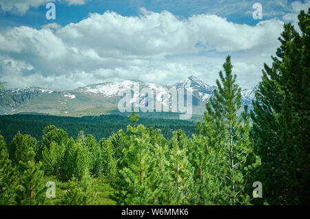 Pass Ulagansky, Altai Mountain Foto Stock