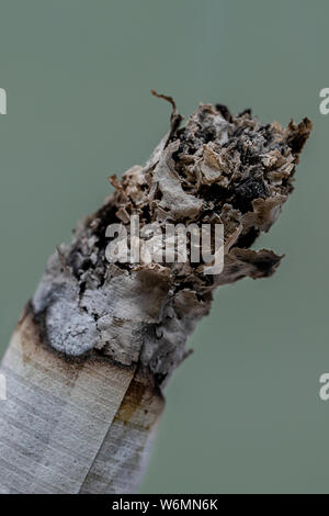 Extreme close up di una sigaretta accesa Foto Stock