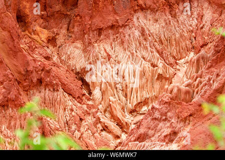 In arenaria rossa e formazioni di aghi (Tsingys) in Tsingy Rouge Park in Madagascar, Africa Foto Stock