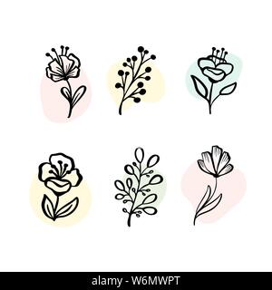 Elementi botanici - fiori selvatici, erbe, giardino di raccolta e fogliame selvatico, fiori, rami. Illustrazione piante isolate su bianco Illustrazione Vettoriale