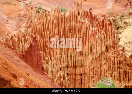 In arenaria rossa e formazioni di aghi (Tsingys) in Tsingy Rouge Park in Madagascar, Africa Foto Stock