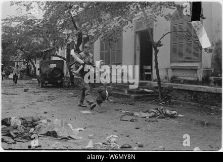 Il Vietnam....un granatiere dal terzo plotone, Società 2a H, 2° Battaglione, 5 Marines, porta una donna vietnamita da Hue Ospedale per la sicurezza durante la battaglia per la tonalità. Foto Stock