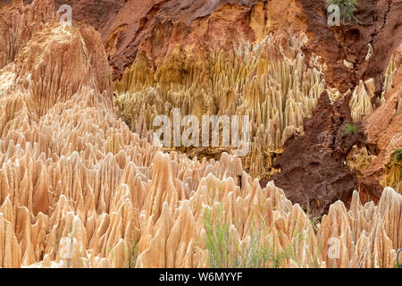 In arenaria rossa e formazioni di aghi (Tsingys) in Tsingy Rouge Park in Madagascar, Africa Foto Stock