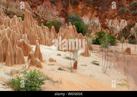 In arenaria rossa e formazioni di aghi (Tsingys) in Tsingy Rouge Park in Madagascar, Africa Foto Stock