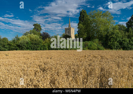 Paesaggio fotografia della chiesa guglia attraverso gli alberi in lontananza con campo di grano alla parte anteriore Foto Stock