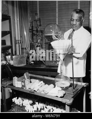 William R. Carter, il governo al farmacista per 40 anni... Come [a] laboratory aide in la Food and Drug Administration della Federal Security Agency, egli è affidato il compito di preparare i supporti per i test di sterilità del materiale di bendaggio, ca. 1941 - ca. 1945 Foto Stock