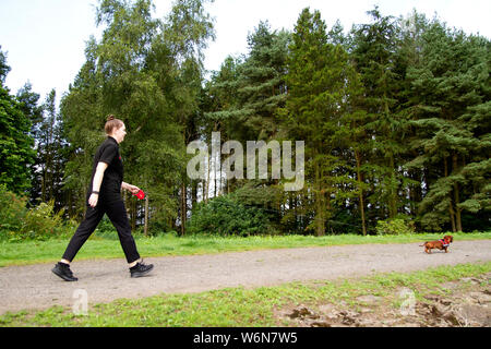 Dundee, Tayside, Scotland, Regno Unito. 2 agosto, 2019. Regno Unito: meteo e soleggiata mattina umido temperature sino a 22º Celsius. Una giovane donna che cammina il suo cane bassotto intorno Clatto Country Park a Dundee, Regno Unito. Credits Credit: Dundee fotografico/Alamy Live News Foto Stock