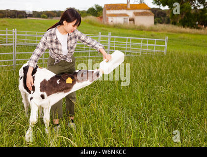 Cinese agricoltore femmina avendo cura di vitello neonato in allevamento di bestiame Foto Stock