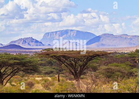 Vasto paesaggio africano vicino Monte Ololokwe 'Monte Sacred', Riserva di Samburu, Kenya, Africa. Albero di spina di acacia coperto pianure sotto il cielo blu nuvoloso Foto Stock