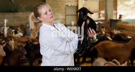 Ritratto di donna qualificata veterinario lavorando su caprini farm, cercando dopo poco capre Foto Stock