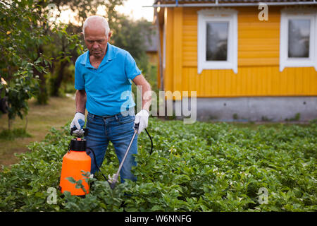 L'uomo lavora con giardino spray in cantiere Foto Stock