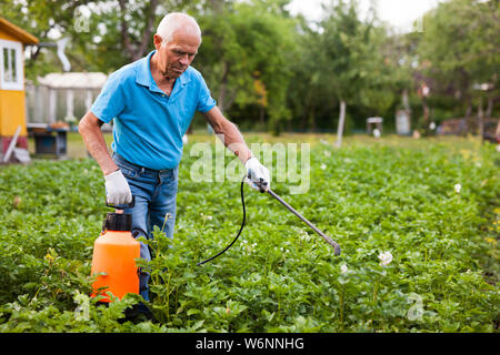 L'uomo lavora con giardino spray in cantiere Foto Stock