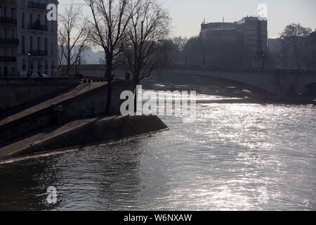 Parigi 4° arrondissement, Ile Saint Louis, argini dei fiumi Foto Stock