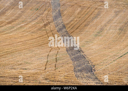 Diverse le andane di paglia, con stoppie di frumento in tra, sinistra in linee rette sul campo in pendenza dalla mietitrebbia dopo il raccolto di grano Foto Stock