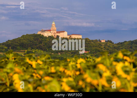 Pannonhalma Arciabbazia con campo di girasoli in Ungheria. Bella girasoli su farmfield Foto Stock