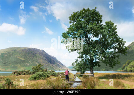 Un uomo si affaccia su Crummock acqua nel Parco Nazionale del Distretto dei Laghi, England, Regno Unito Foto Stock