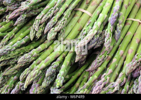 Un sacco di mazzi di asparagi in luogo di mercato Foto Stock