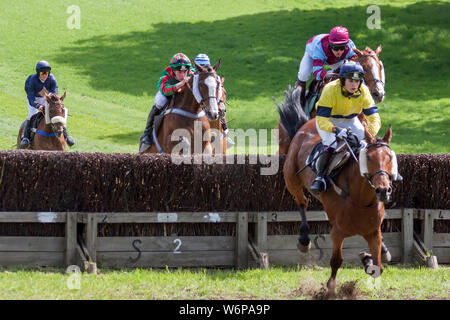 GODSTONE, SURREY/UK - 2 maggio : punto a punto racing a Godstone Surrey il 2 maggio 2009. Persone non identificate Foto Stock