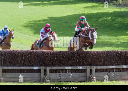 GODSTONE, SURREY/UK - 2 maggio : punto a punto racing a Godstone Surrey il 2 maggio 2009. Tre persone non identificate Foto Stock