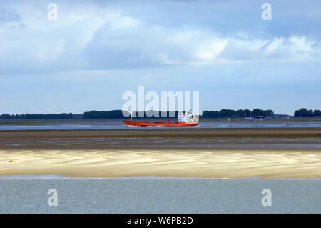 La bassa marea con scanni visibile alla Wester Schelde mentre un tankership passa sopra il fiume sulla strada per il porto di Anversa in Belgio Foto Stock