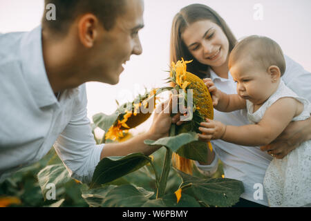 Baby è a piedi con i genitori e tocca al girasole l'infiorescenza. Foto Stock