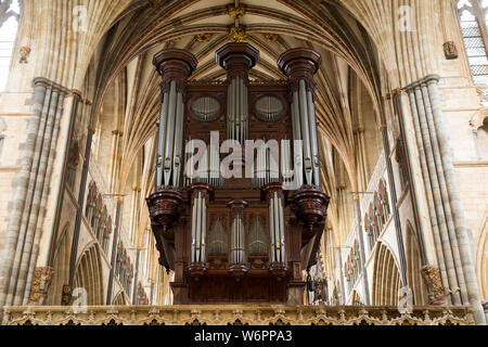 Grandioso organo caso da John Loosemore, con i suoi molti organo a canne, sulla schermata pulpitum. La Cattedrale di Exeter, correttamente noto come la Chiesa Cattedrale di San Pietro. Regno Unito (110) Foto Stock