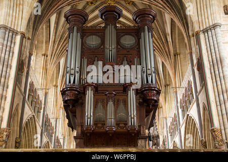 Grandioso organo caso da John Loosemore, con i suoi molti organo a canne, sulla schermata pulpitum. La Cattedrale di Exeter, correttamente noto come la Chiesa Cattedrale di San Pietro. Regno Unito (110) Foto Stock