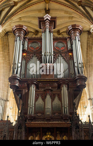 Grandioso organo caso da John Loosemore, con i suoi molti organo a canne, sulla schermata pulpitum. La Cattedrale di Exeter, correttamente noto come la Chiesa Cattedrale di San Pietro. Regno Unito (110) Foto Stock