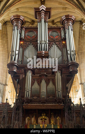 Grandioso organo caso da John Loosemore, con i suoi molti organo a canne, sulla schermata pulpitum. La Cattedrale di Exeter, correttamente noto come la Chiesa Cattedrale di San Pietro. Regno Unito (110) Foto Stock