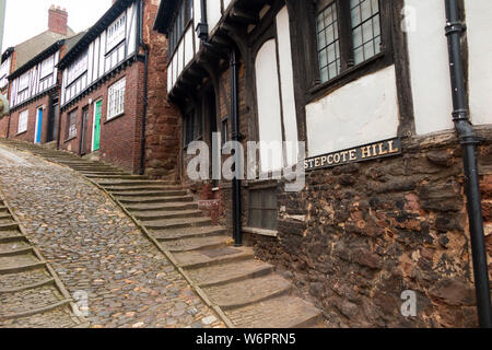 Sheepcote Hill a Exeter, Regno Unito. Questo è un vecchio e storico alroute fino alla casa che spostata, e ciottoli che presenta passaggi su entrambi i lati. (110) Foto Stock