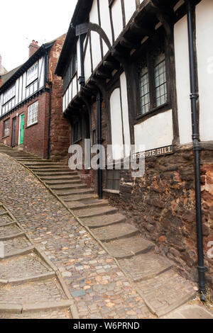 Sheepcote Hill a Exeter, Regno Unito. Questo è un vecchio e storico alroute fino alla casa che spostata, e ciottoli che presenta passaggi su entrambi i lati. (110) Foto Stock