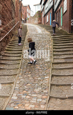 Sheepcote Hill a Exeter, Regno Unito. Questo è un vecchio e storico alroute fino alla casa che spostata, e ciottoli che presenta passaggi su entrambi i lati. (110) Foto Stock