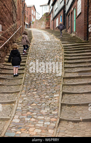 Sheepcote Hill a Exeter, Regno Unito. Questo è un vecchio e storico alroute fino alla casa che spostata, e ciottoli che presenta passaggi su entrambi i lati. (110) Foto Stock