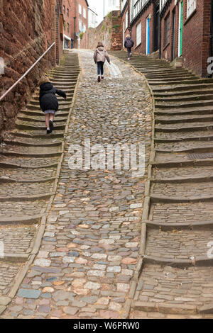 Sheepcote Hill a Exeter, Regno Unito. Questo è un vecchio e storico alroute fino alla casa che spostata, e ciottoli che presenta passaggi su entrambi i lati. (110) Foto Stock