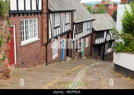 Sheepcote Hill a Exeter, Regno Unito. Si tratta di una vecchia strada storica che si è spostata dall'Assemblea, che è lastricata e che ha gradini su entrambi i lati. (110) Foto Stock