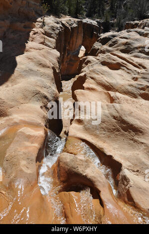 Willis creek canyon slot utah Foto Stock