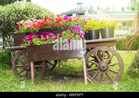 In legno antico carrello vintage con vasi di fiori e scatole con colorati fiori di petunia e gerani nel giardino in una soleggiata giornata estiva. Foto Stock