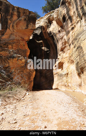 Willis creek canyon slot utah Foto Stock