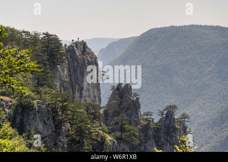 Serbia - Montagna paesaggio Tara Foto Stock