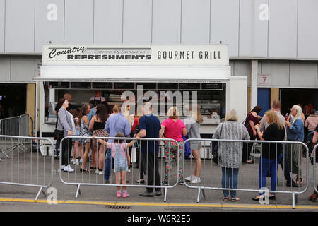 CHESTER LE STREET, Inghilterra. Il 31 luglio 2019. durante la vitalità T20 Blast match tra Durham County Cricket Club e Leicester Volpi a Emirates Riverside, Chester le street mercoledì 31 luglio 2019. (Credit: Mark Fletcher | MI News) Credito: MI News & Sport /Alamy Live News Foto Stock