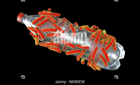 Computer illustrazione di Ideonella sakaiensis batteri degradare una bottiglia di plastica. I. sakaiensis fu scoperto nel 2016 nei sedimenti in prossimità di una bottiglia di plastica per strutture di riciclaggio in Giappone. È in grado di utilizzare la plastica di polietilene tereftalato (PET) come sua fonte primaria di energia. Per fare in modo che utilizza due enzimi, PET idrolasi (PETase) e MHET idrolasi (MHETase), per convertire il PET di acido tereftalico (TPA) e glicole etilenico. Foto Stock