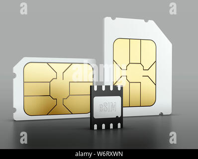 ESIM e schede SIM, illustrazione. Foto Stock