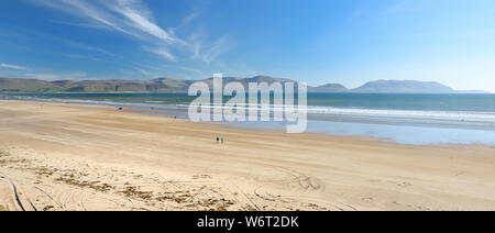 Spiaggia di pollice, meraviglioso 5km lungo tratto della gloriosa di sabbia e dune, popolare per il surf, nuoto e pesca, situato sulla penisola di Dingle, County Foto Stock