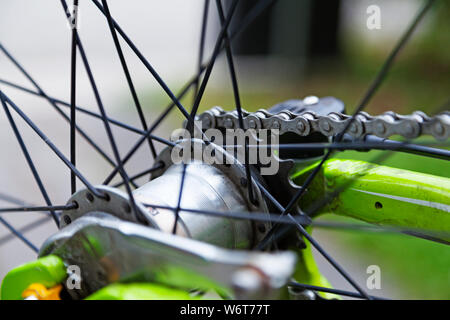 La ruota posteriore della bicicletta con catena, ingranaggi, freno e raggi Foto Stock