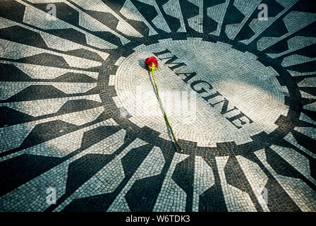 Una sola rosa rossa posta al centro del mosaico immaginare a Strawberry Fields in New York City Central Park, un monumento al musicista John Lennon. Foto Stock