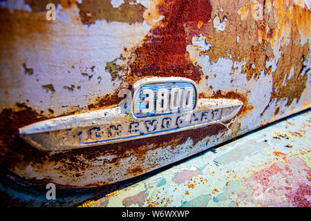 Abbandonato il vecchio camion vengono lasciati nei campi lungo la strada di Adobe, Sonoma, California Foto Stock